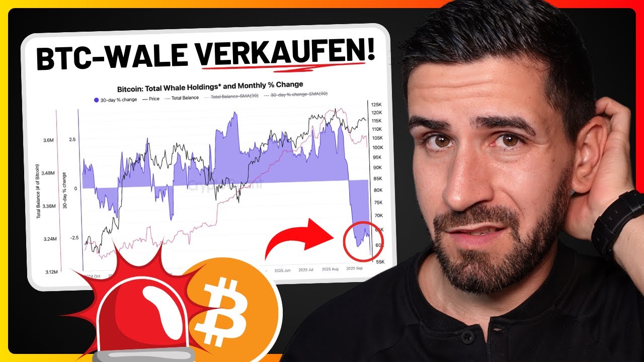 Video: Bitcoin Update: Wie geht es weiter? 👀