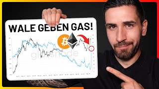 Bitcoin Update: Aktuelle Korrektur & was die Daten sagen 🥶
